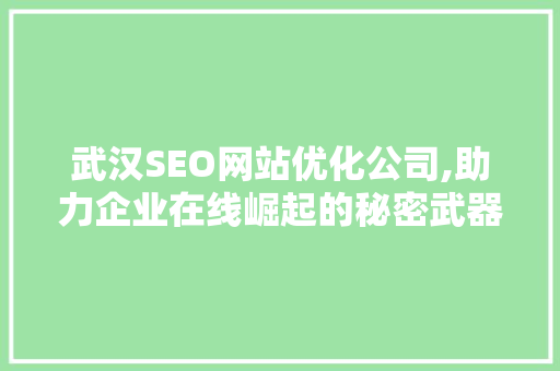 武汉SEO网站优化公司,助力企业在线崛起的秘密武器 神马SEO