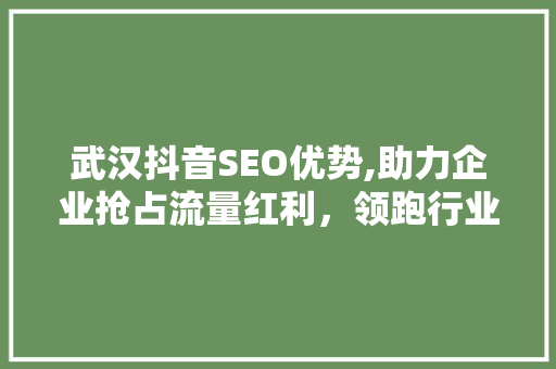 武汉抖音SEO优势,助力企业抢占流量红利，领跑行业 百度SEO