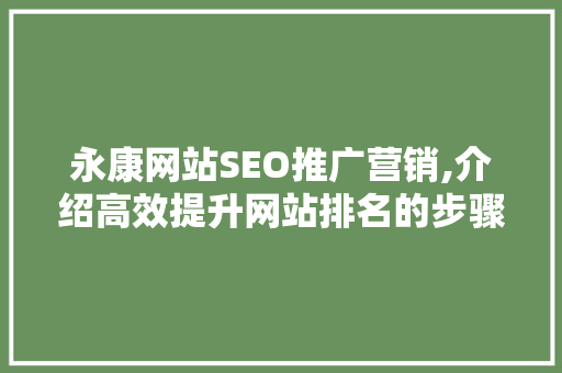 永康网站SEO推广营销,介绍高效提升网站排名的步骤 百度SEO
