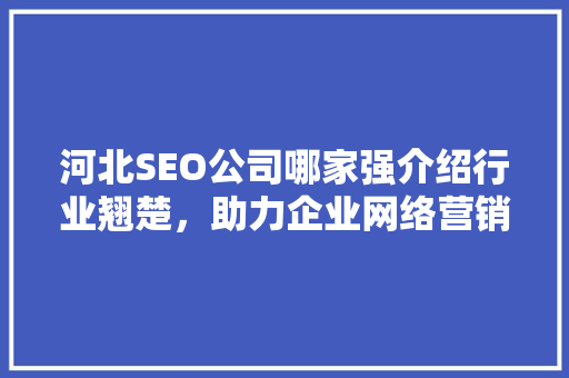 河北SEO公司哪家强介绍行业翘楚，助力企业网络营销腾飞 神马SEO