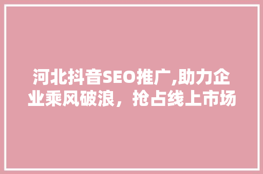 河北抖音SEO推广,助力企业乘风破浪，抢占线上市场制高点 搜狗SEO