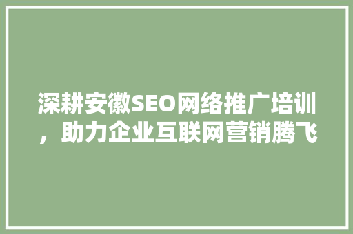 深耕安徽SEO网络推广培训，助力企业互联网营销腾飞 百度SEO
