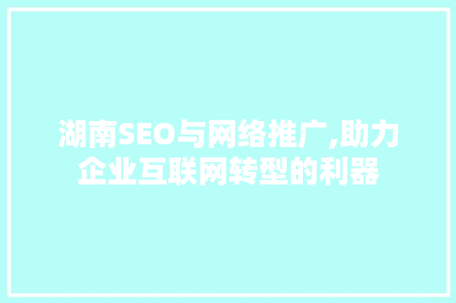 湖南SEO与网络推广,助力企业互联网转型的利器 GoogleSEO