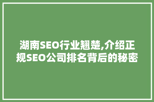 湖南SEO行业翘楚,介绍正规SEO公司排名背后的秘密 必应SEO