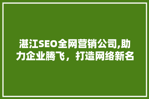 湛江SEO全网营销公司,助力企业腾飞，打造网络新名片 搜狗SEO