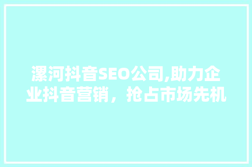 漯河抖音SEO公司,助力企业抖音营销，抢占市场先机 GoogleSEO