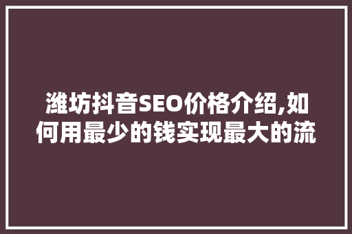 潍坊抖音SEO价格介绍,如何用最少的钱实现最大的流量转化 百度SEO