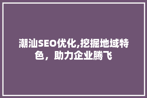 潮汕SEO优化,挖掘地域特色，助力企业腾飞 百度SEO