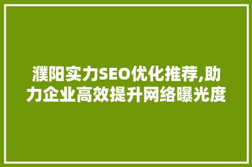 濮阳实力SEO优化推荐,助力企业高效提升网络曝光度 必应SEO