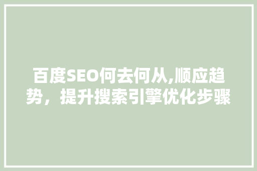 百度SEO何去何从,顺应趋势，提升搜索引擎优化步骤 GoogleSEO