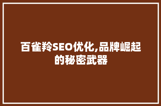 百雀羚SEO优化,品牌崛起的秘密武器 GoogleSEO