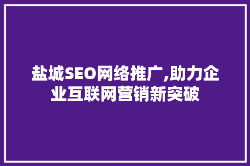 盐城SEO网络推广,助力企业互联网营销新突破 神马SEO