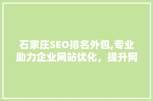 石家庄SEO排名外包,专业助力企业网站优化，提升网络竞争力 GoogleSEO