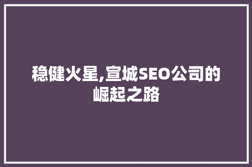 稳健火星,宣城SEO公司的崛起之路 GoogleSEO