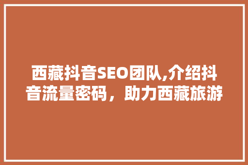 西藏抖音SEO团队,介绍抖音流量密码，助力西藏旅游推广新篇章 神马SEO
