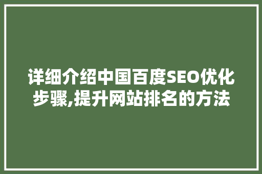 详细介绍中国百度SEO优化步骤,提升网站排名的方法