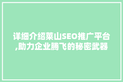详细介绍莱山SEO推广平台,助力企业腾飞的秘密武器
