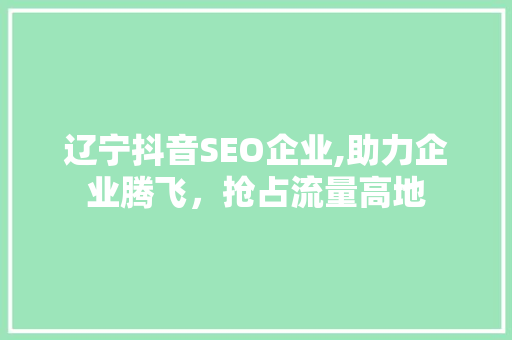 辽宁抖音SEO企业,助力企业腾飞，抢占流量高地 必应SEO