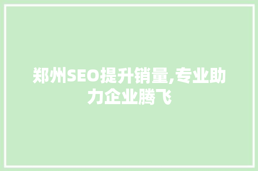 郑州SEO提升销量,专业助力企业腾飞 神马SEO