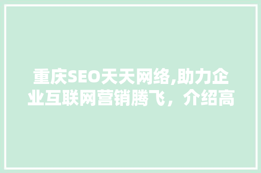 重庆SEO天天网络,助力企业互联网营销腾飞，介绍高效SEO步骤 神马SEO