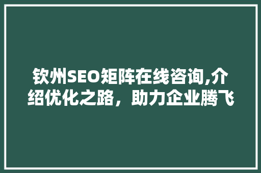 钦州SEO矩阵在线咨询,介绍优化之路，助力企业腾飞 百度SEO