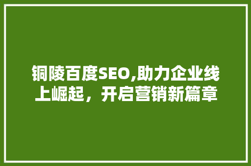 铜陵百度SEO,助力企业线上崛起，开启营销新篇章 百度SEO