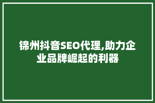 锦州抖音SEO代理,助力企业品牌崛起的利器 神马SEO