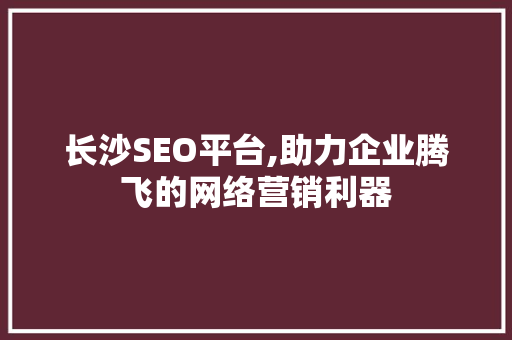 长沙SEO平台,助力企业腾飞的网络营销利器 百度SEO