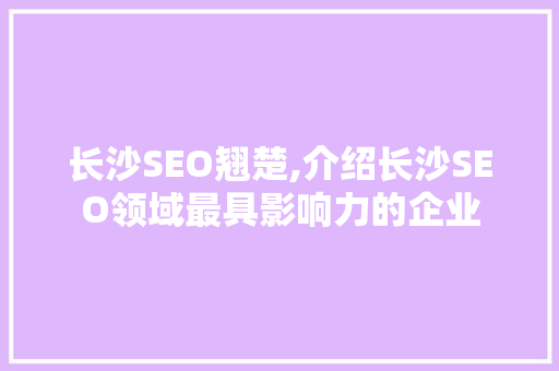 长沙SEO翘楚,介绍长沙SEO领域最具影响力的企业 百度SEO