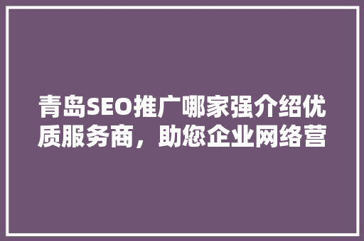 青岛SEO推广哪家强介绍优质服务商，助您企业网络营销腾飞 百度SEO