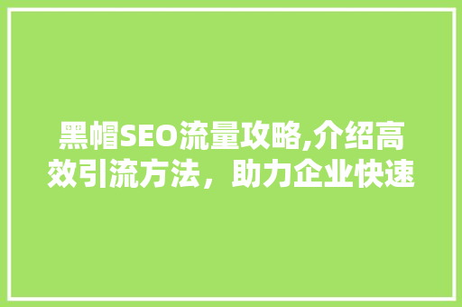 黑帽SEO流量攻略,介绍高效引流方法，助力企业快速崛起 搜狗SEO