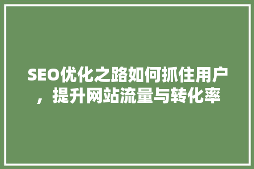 SEO优化之路如何抓住用户，提升网站流量与转化率 百度SEO