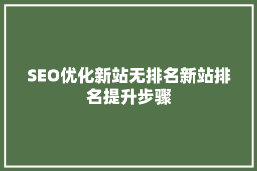 SEO优化新站无排名新站排名提升步骤 必应SEO