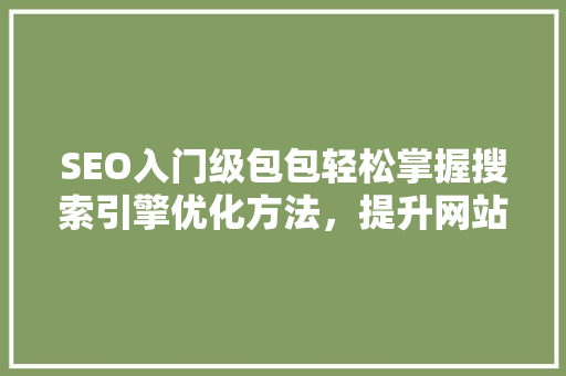 SEO入门级包包轻松掌握搜索引擎优化方法，提升网站流量与排名 神马SEO