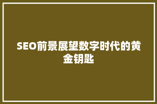 SEO前景展望数字时代的黄金钥匙 搜狗SEO
