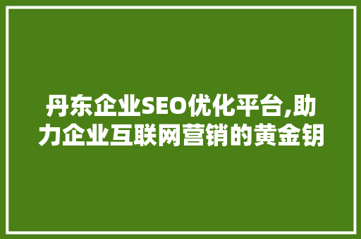 丹东企业SEO优化平台,助力企业互联网营销的黄金钥匙 百度SEO