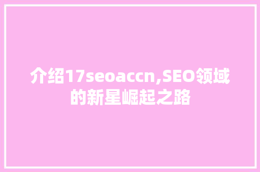 介绍17seoaccn,SEO领域的新星崛起之路