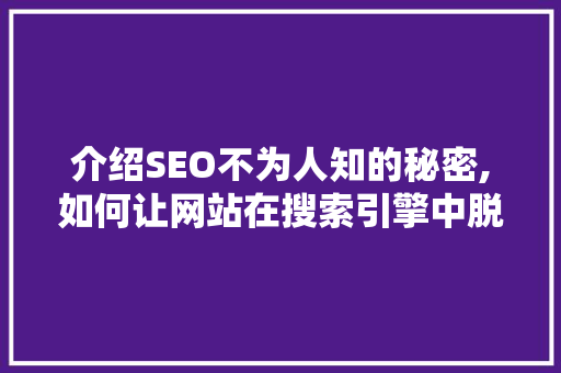 介绍SEO不为人知的秘密,如何让网站在搜索引擎中脱颖而出