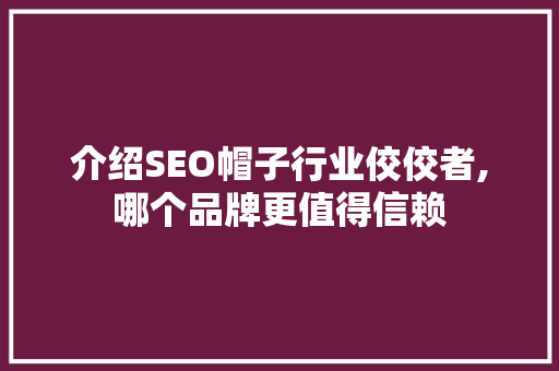 介绍SEO帽子行业佼佼者,哪个品牌更值得信赖 百度SEO
