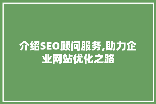 介绍SEO顾问服务,助力企业网站优化之路 GoogleSEO