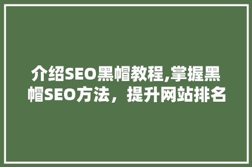 介绍SEO黑帽教程,掌握黑帽SEO方法，提升网站排名的“暗黑”之路 百度SEO