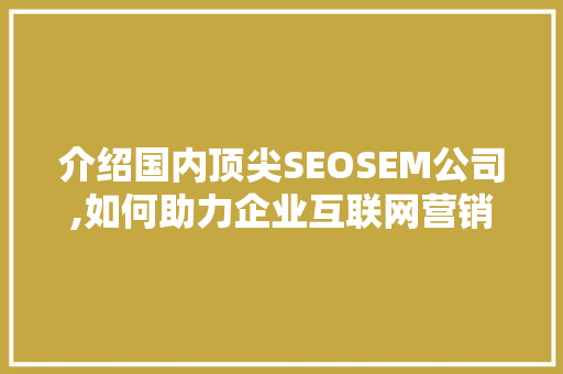 介绍国内顶尖SEOSEM公司,如何助力企业互联网营销新篇章