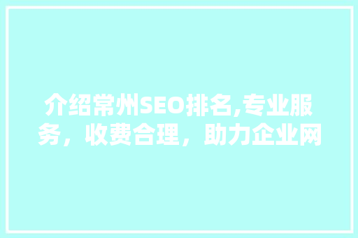 介绍常州SEO排名,专业服务，收费合理，助力企业网络营销新突破
