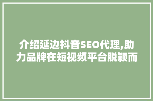 介绍延边抖音SEO代理,助力品牌在短视频平台脱颖而出