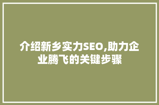 介绍新乡实力SEO,助力企业腾飞的关键步骤 百度SEO