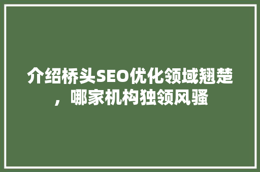 介绍桥头SEO优化领域翘楚，哪家机构独领风骚 百度SEO