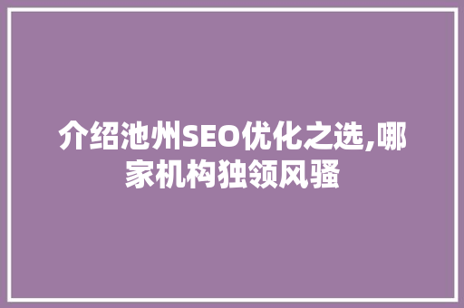 介绍池州SEO优化之选,哪家机构独领风骚 神马SEO