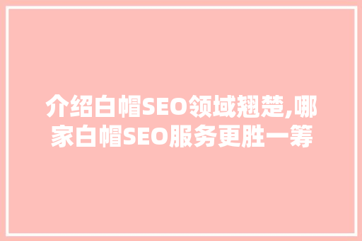 介绍白帽SEO领域翘楚,哪家白帽SEO服务更胜一筹