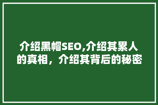 介绍黑帽SEO,介绍其累人的真相，介绍其背后的秘密 搜狗SEO