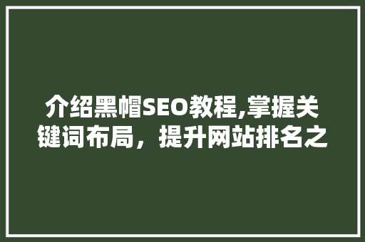 介绍黑帽SEO教程,掌握关键词布局，提升网站排名之路 搜狗SEO